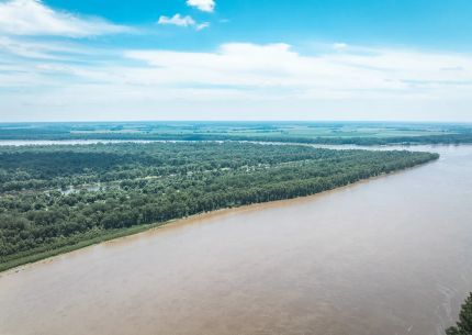 Farm and Ranch for sale in Fulton County, Kentucky