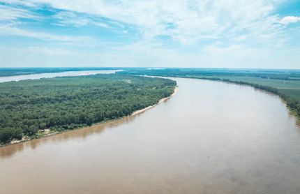 Timberland Property for sale in Hickman County, Kentucky