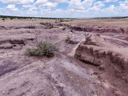 Undeveloped Land for sale in Apache County, Arizona