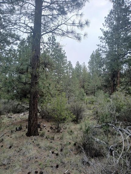Farm and Ranch for sale in Klamath County, Oregon