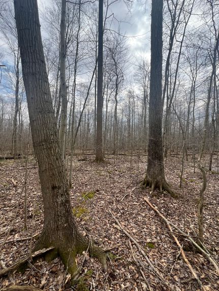 Land for sale in Crawford County, Pennsylvania