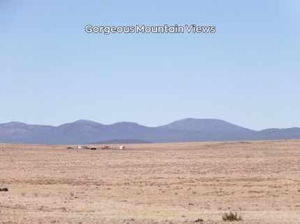 Farm and Ranch for sale in Apache County, Arizona