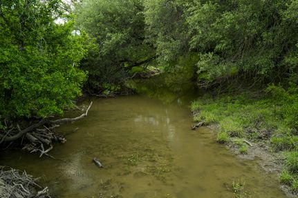 Timberland Property for sale in Frio County, Texas