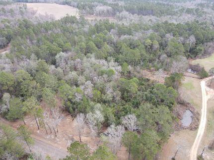 Undeveloped Land for sale in Lamar County, Mississippi