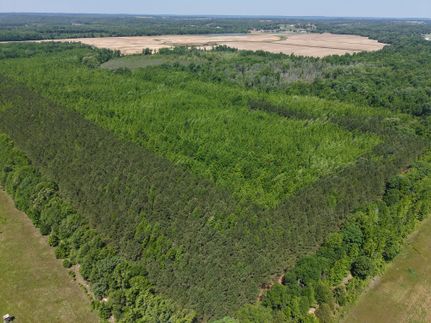 Land for sale in White County, Arkansas
