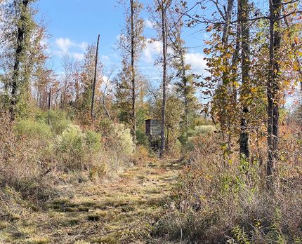 Land for sale in Union County, Arkansas