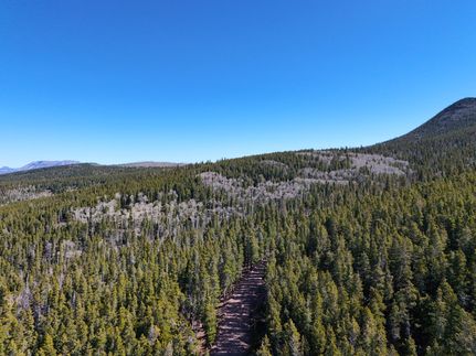 Farm and Ranch for sale in Costilla County, Colorado