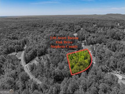Timberland Property for sale in Stephens County, Georgia