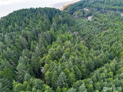 Recreational Property for sale in Grays Harbor County, Washington