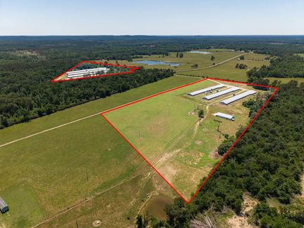 Timberland Property for sale in Shelby County, Texas