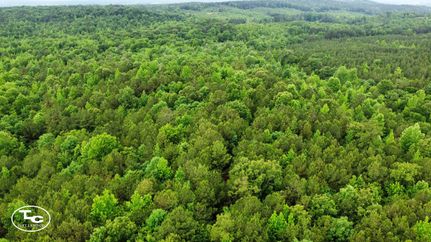 Undeveloped Land for sale in Fayette County, Alabama