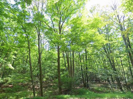 Land for sale in Blair County, Pennsylvania