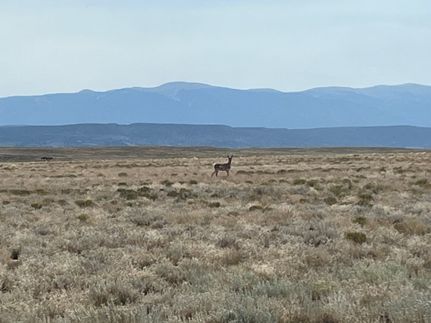 Farm and Ranch for sale in Costilla County, Colorado