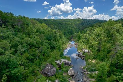 Timberland Property for sale in Cherokee County, Alabama