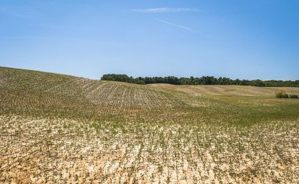 Farm and Ranch for sale in Calhoun County, Illinois