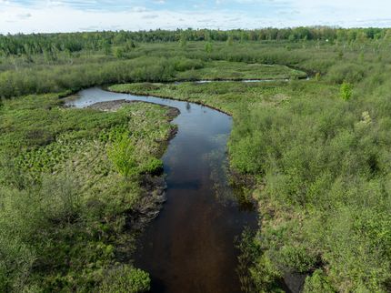 Land for sale in Osceola County, Michigan