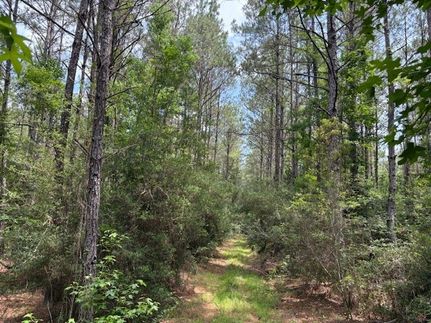 Recreational Property for sale in Orange County, Texas