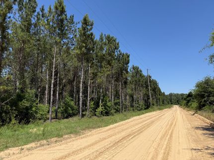Land for sale in Miller County, Georgia
