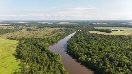 Timberland Property for sale in Decatur County, Georgia