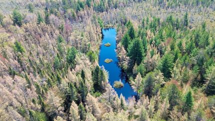 Farm and Ranch for sale in Iosco County, Michigan