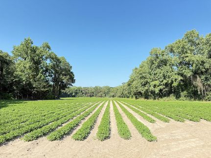 Recreational Property for sale in Marion County, South Carolina