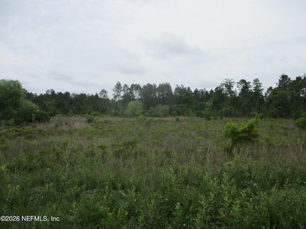 Timberland Property for sale in Nassau County, Florida