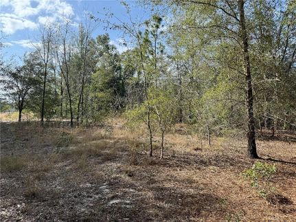 Farm and Ranch for sale in Marion County, Florida