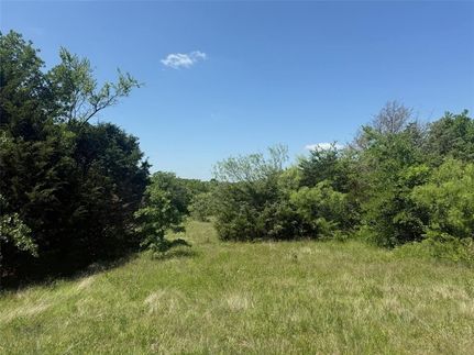 Undeveloped Land for sale in Wise County, Texas