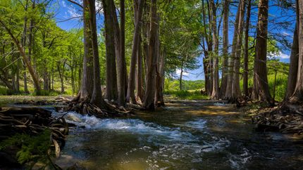 Land for sale in Kerr County, Texas