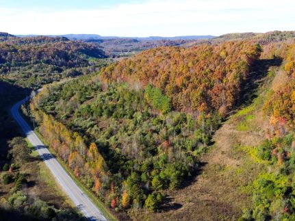 Land for sale in Campbell County, Tennessee