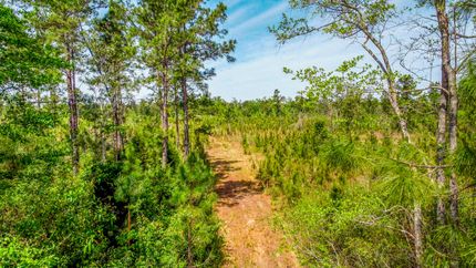 Farm and Ranch for sale in Jackson County, Florida