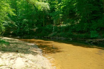 Farm and Ranch for sale in Surry County, North Carolina
