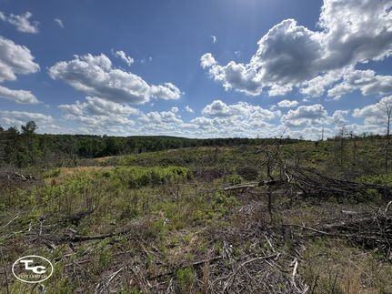 Land for sale in Fayette County, Alabama