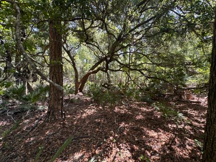 Land for sale in Levy County, Florida
