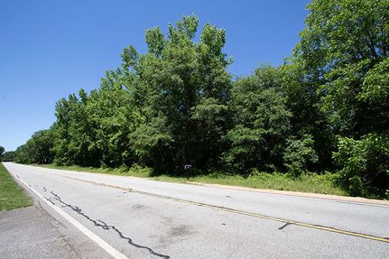 Undeveloped Land for sale in Washington County, Georgia