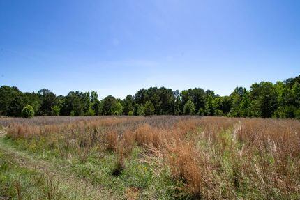 Land for sale in Washington County, Georgia
