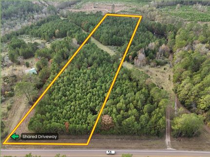 Homesite for sale in Polk County, Texas