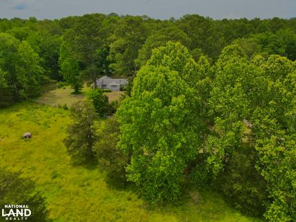 Timberland Property for sale in Shelby County, Alabama
