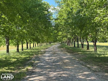 Timberland Property for sale in Lowndes County, Mississippi