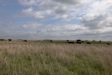 Undeveloped Land for sale in Pawnee County, Oklahoma