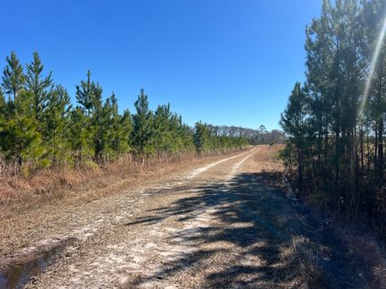Land for sale in Telfair County, Georgia