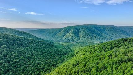 Undeveloped Land for sale in Fayette County, Pennsylvania