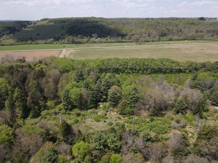 Land for sale in Allegany County, New York
