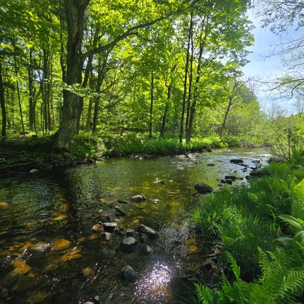 Land for sale in Jefferson County, New York