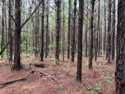 Timberland Property for sale in Butler County, Alabama