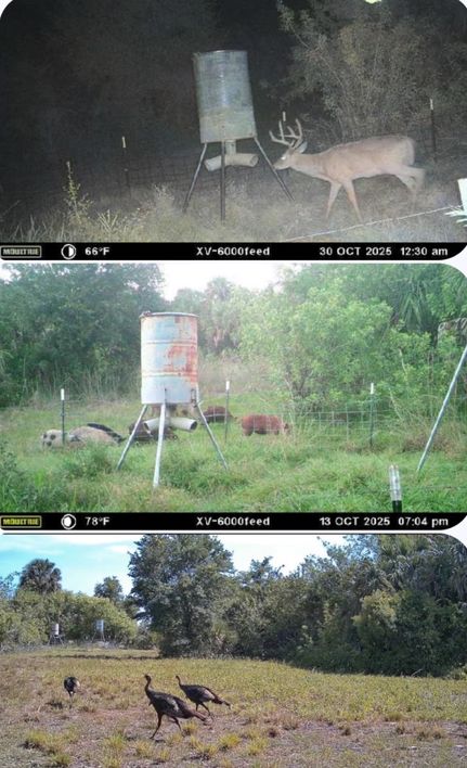 Farm and Ranch for sale in Glades County, Florida