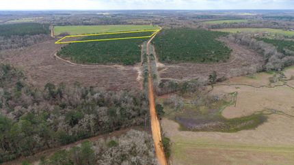 Land for sale in Geneva County, Alabama