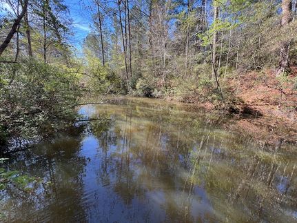 Riverfront Property for sale in Covington County, Alabama