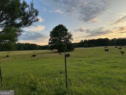 Land for sale in Pike County, Georgia