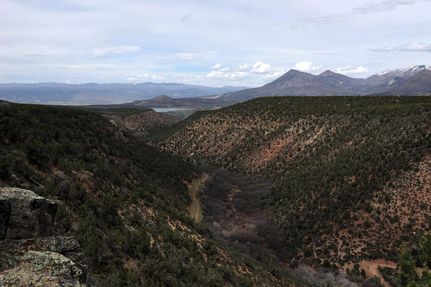 Land for sale in Delta County, Colorado